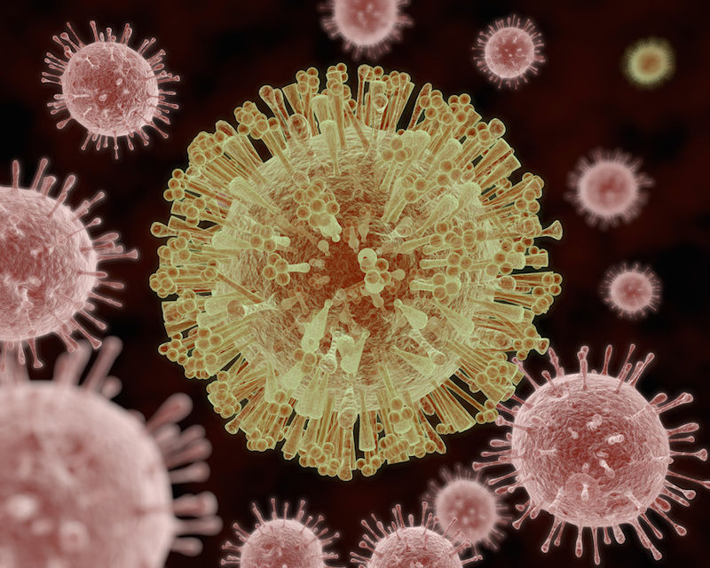 Các loài virus, như virus zika trong bức ảnh trên, có phải là những sinh vật sống?