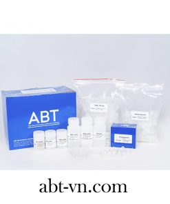 Toppure® Blood Dna Extraction Kit