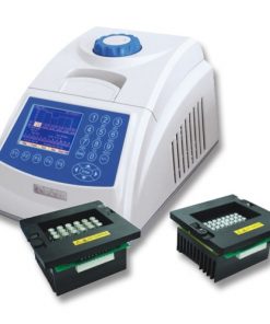 Máy PCR GeneQ