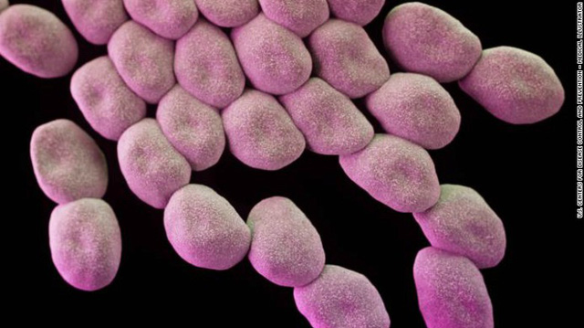 Acinetobacter baumannii, siêu vi khuẩn đứng đầu danh sách