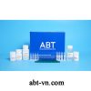 Abt Exs 021 Toppure Crude