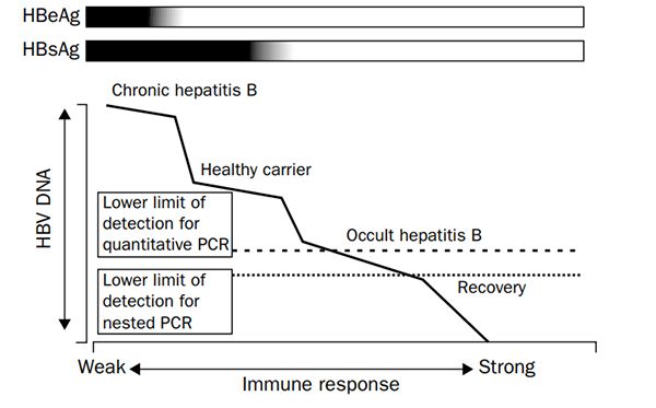 Hình 2. Các yếu tố khác như đột biến HBV