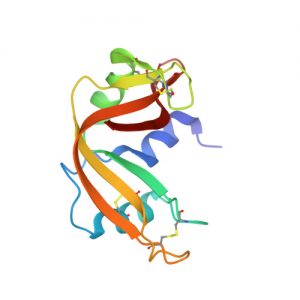 Abt Cau Truc Ribonuclease Tuyen Tuy Bo Hoang Dai A