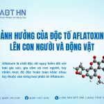 độc tố Aflatoxin(34)