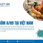 ệnh (36)