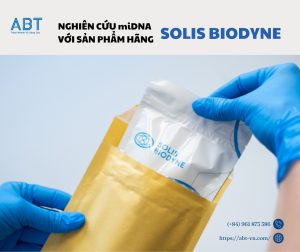 Test Nhanh (17)