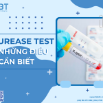 Urease test
