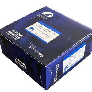Elisa Box